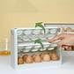 Refrigerator Egg Storage Box; Side Door Multi-layer Egg Tray for Refrigerator